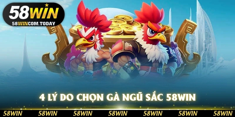4 lý do nên chọn gà ngũ sắc 58WIN khi chiến đấu