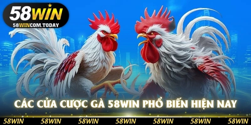 Các cửa cược gà 58WIN phổ biến hiện nay