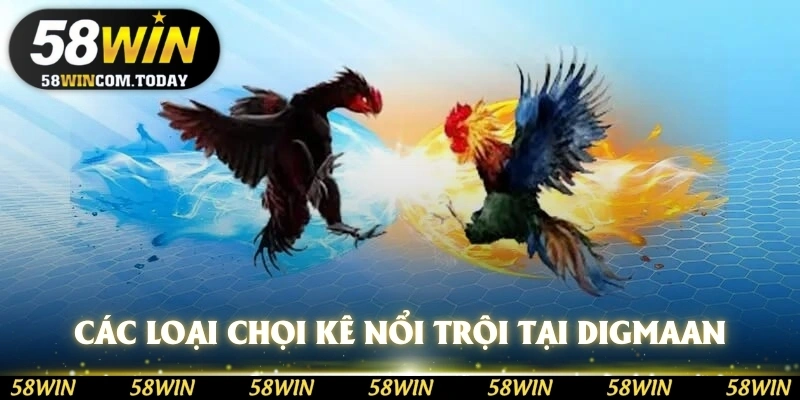 Một số loại chọi kê nổi trội nhất tại sảnh Digmaan 58WIN