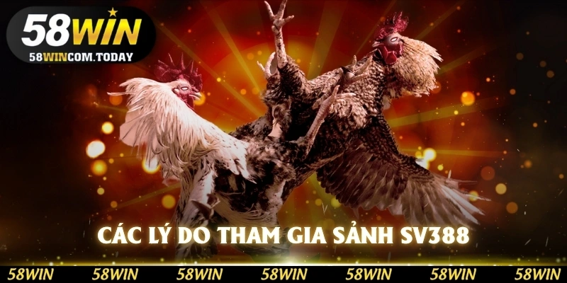 Các lý do bạn nên tham gia cùng SV388