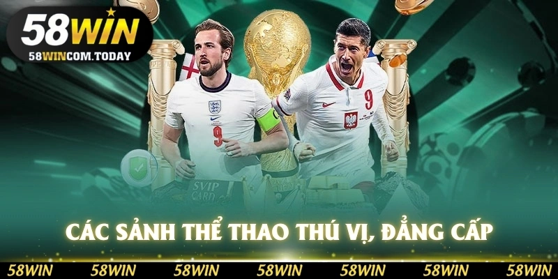 Các sảnh thể thao thú vị, đẳng cấp
