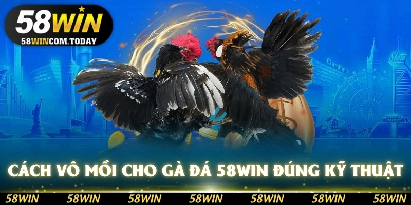 Tìm hiểu cách vô mồi cho gà đá 58WIN đúng kỹ thuật
