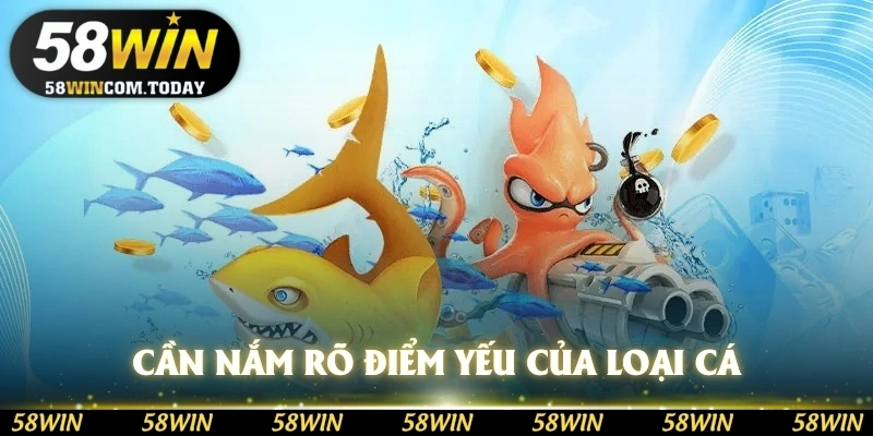 Cần phải nắm rõ điểm yếu của loại cá