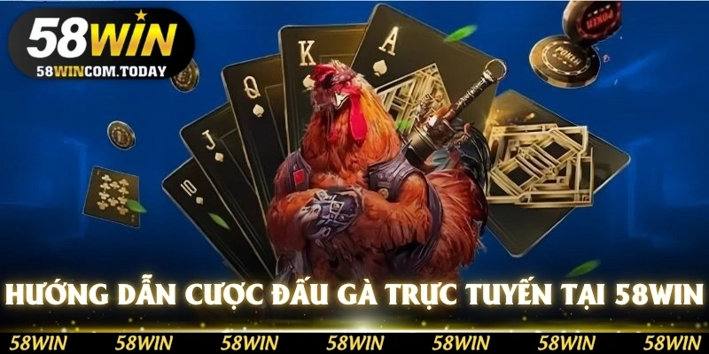 Hướng dẫn tham gia cược đấu gà trực tuyến tại 58WIN