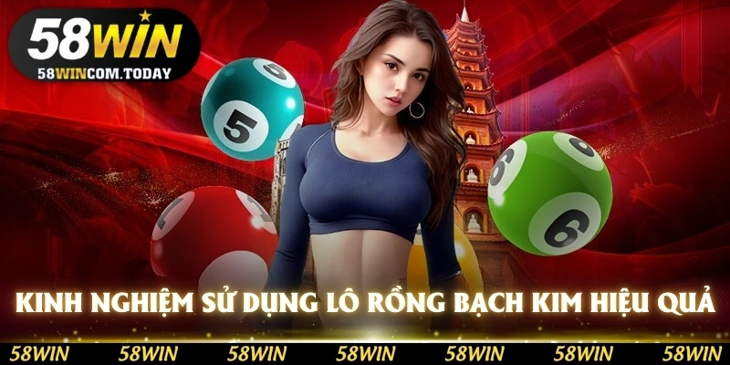 Học hỏi kinh nghiệm để sử dụng lô rồng bạch kim sao cho hiệu quả