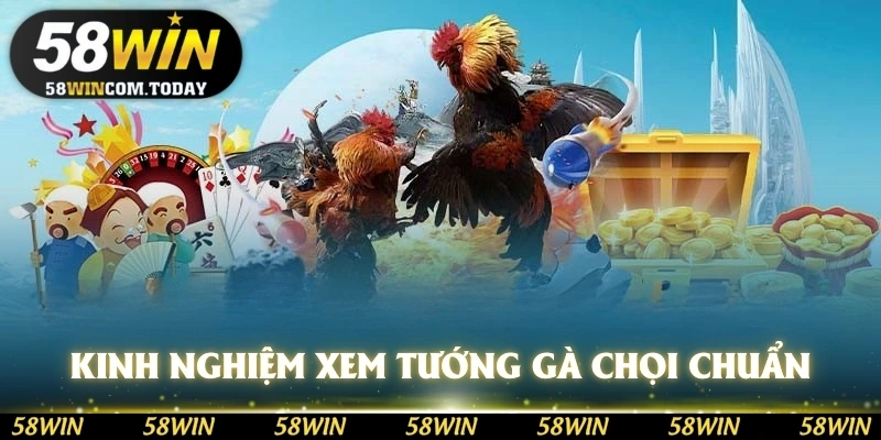Kinh nghiệm xem tướng gà chọi 58WIN chuẩn xác
