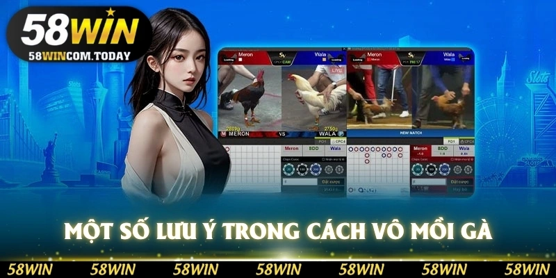 Một số lưu ý trong cách vô mồi cho gà đá 58WIN