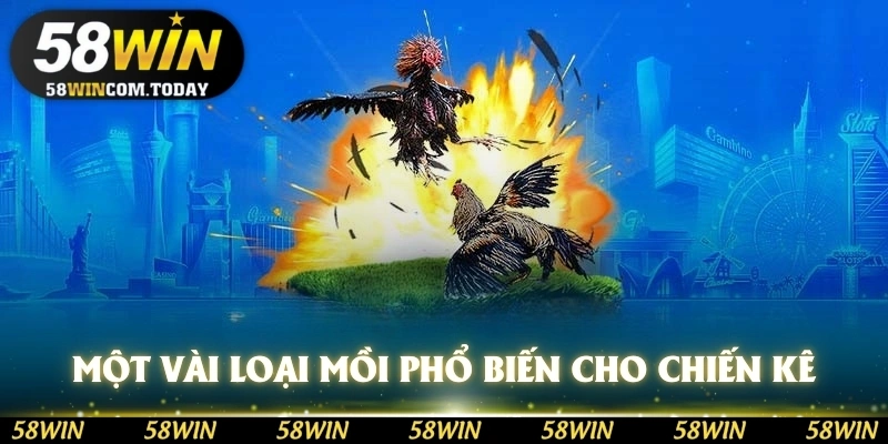 Một vài loại mồi phổ biến cho chiến kê