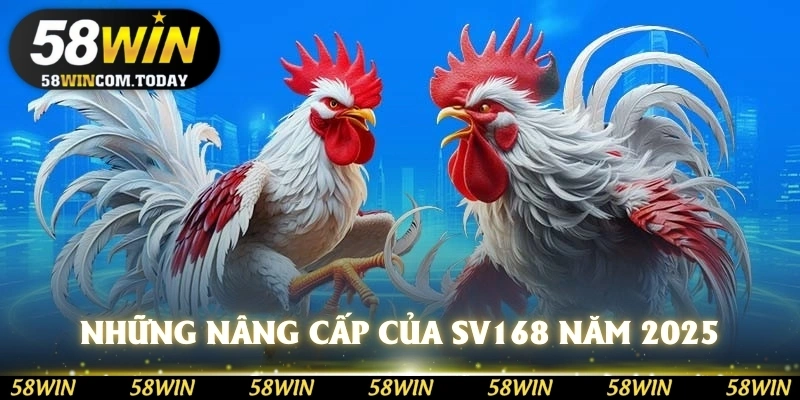 Những nâng cấp của SV168 năm 2025