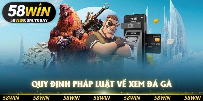 Quy định pháp luật về xem đá gà có bị bắt không? 58WIN