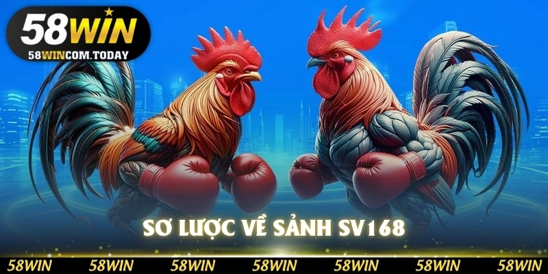 Sơ lược những điều về sảnh SV168