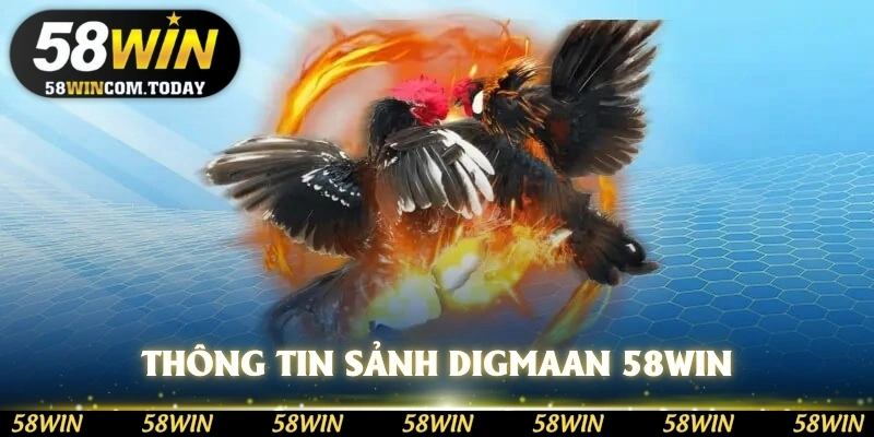 Thông tin sảnh DIGmaan 58WIN