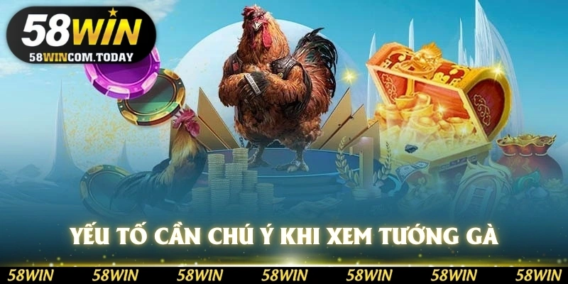 Yếu tố cần chú ý khi xem tướng gà chọi từ 58WIN